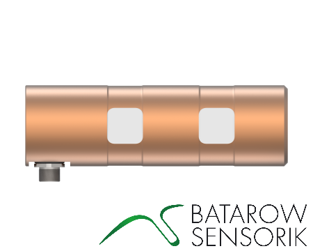 Kraftmessbolzen         MB1242 Lastmessbolzen zur Kraftüberwachung